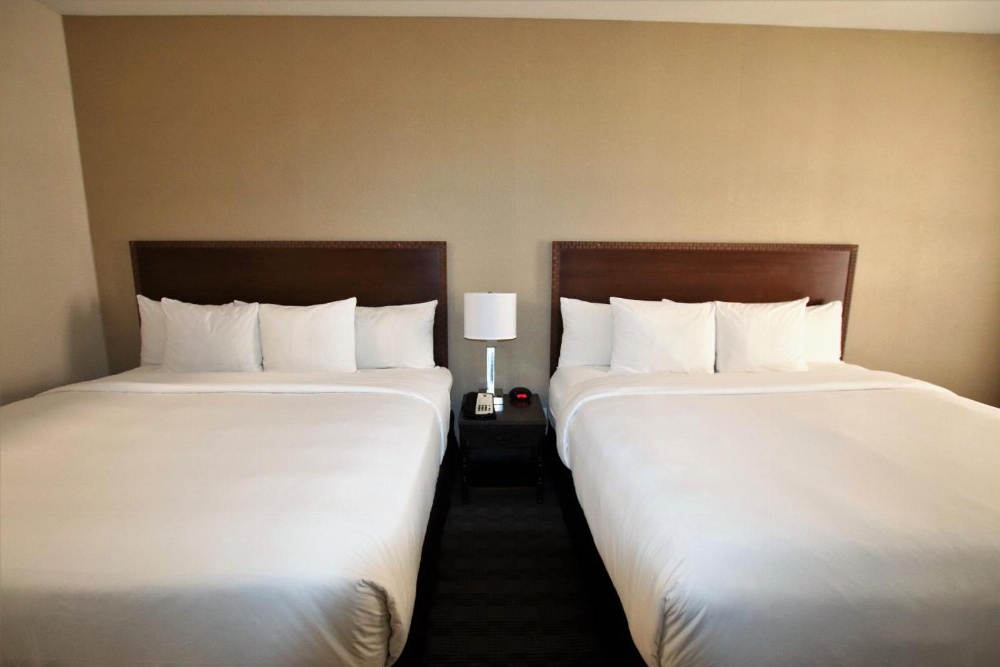 One Room Suite - Non Smoking